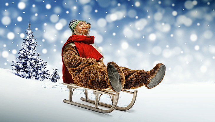 poez baer weihnachtsurlaub schlittenfahren beitrag